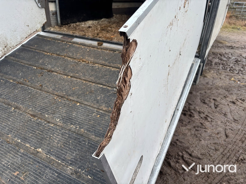 Hästlastbil - Isuzu, NQR70T