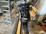 Moped Viarelli Monztro