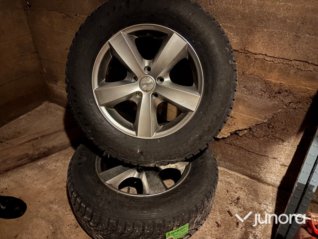 Nokian Vinterhjul
