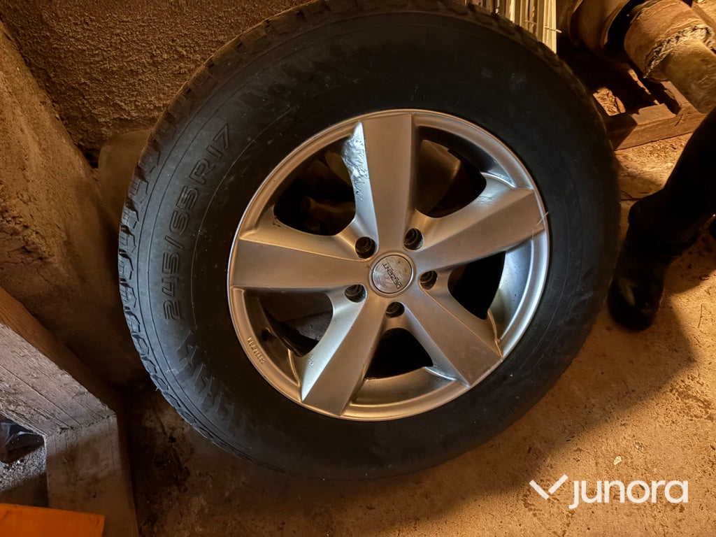 Nokian Vinterhjul