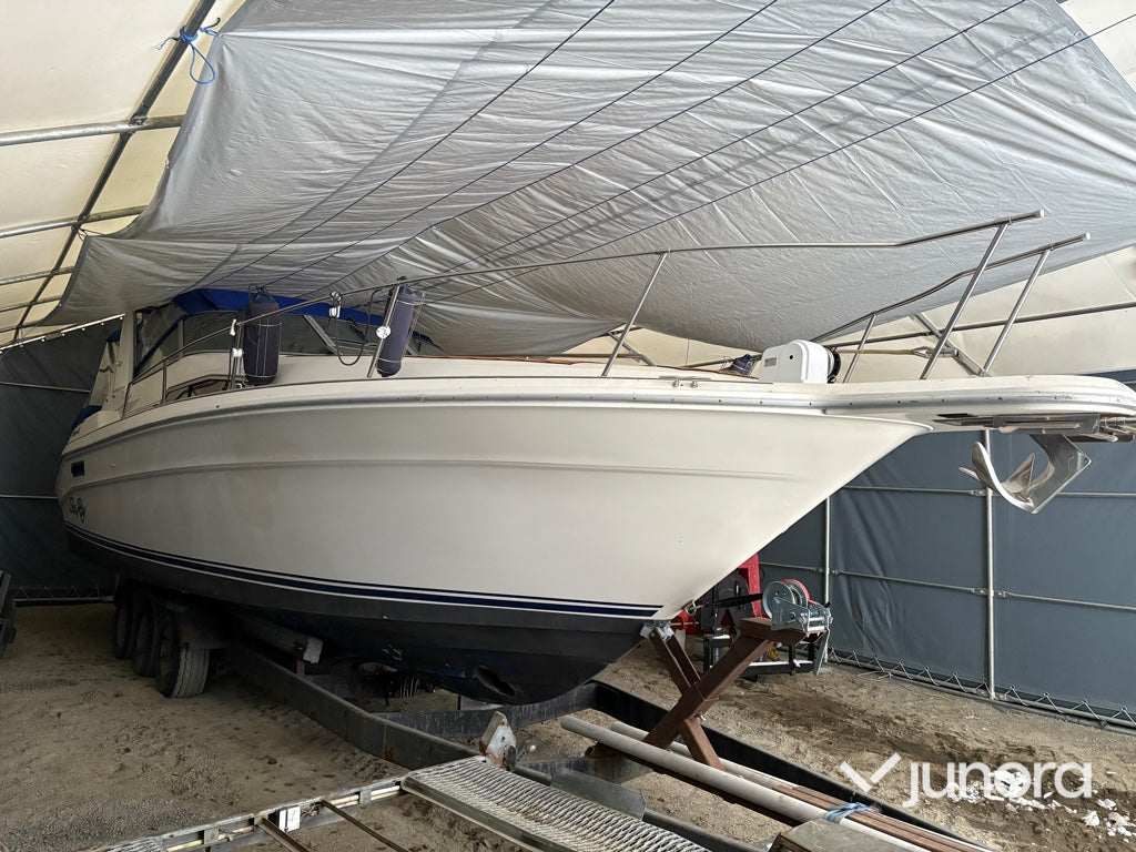 Motorbåt - Sea Ray 310