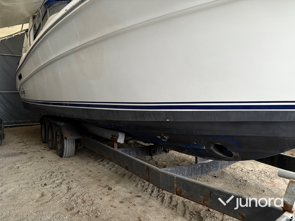 Motorbåt - Sea Ray 310