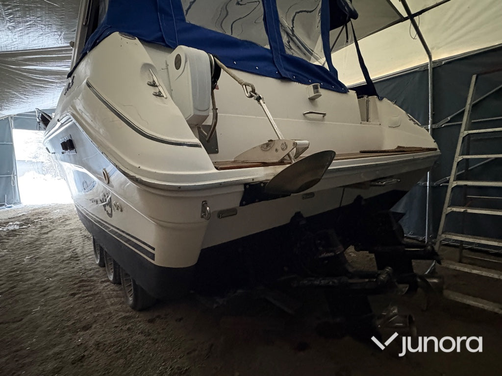 Motorbåt - Sea Ray 310