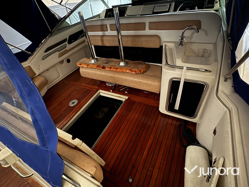 Motorbåt - Sea Ray 310