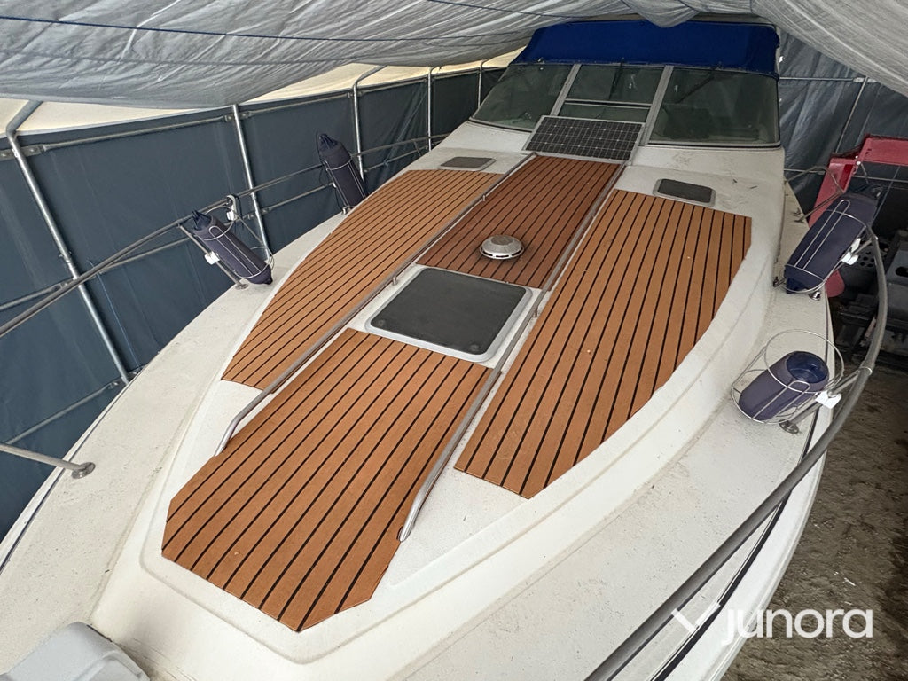 Motorbåt - Sea Ray 310