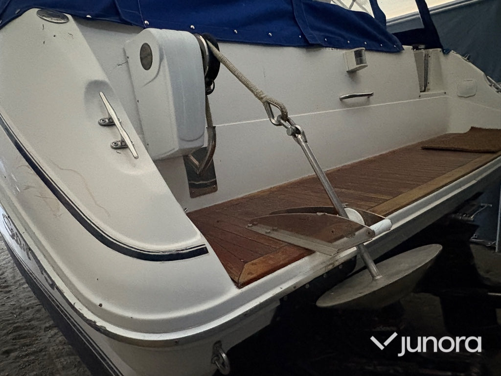 Motorbåt - Sea Ray 310