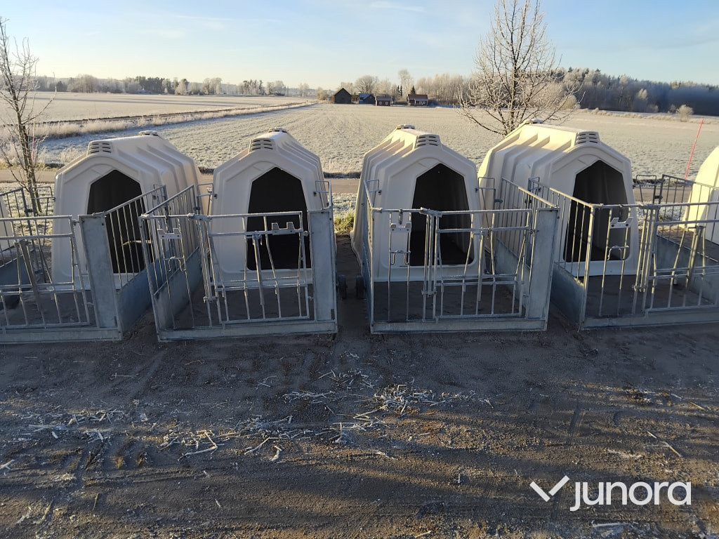 Kalv igloo - 4st