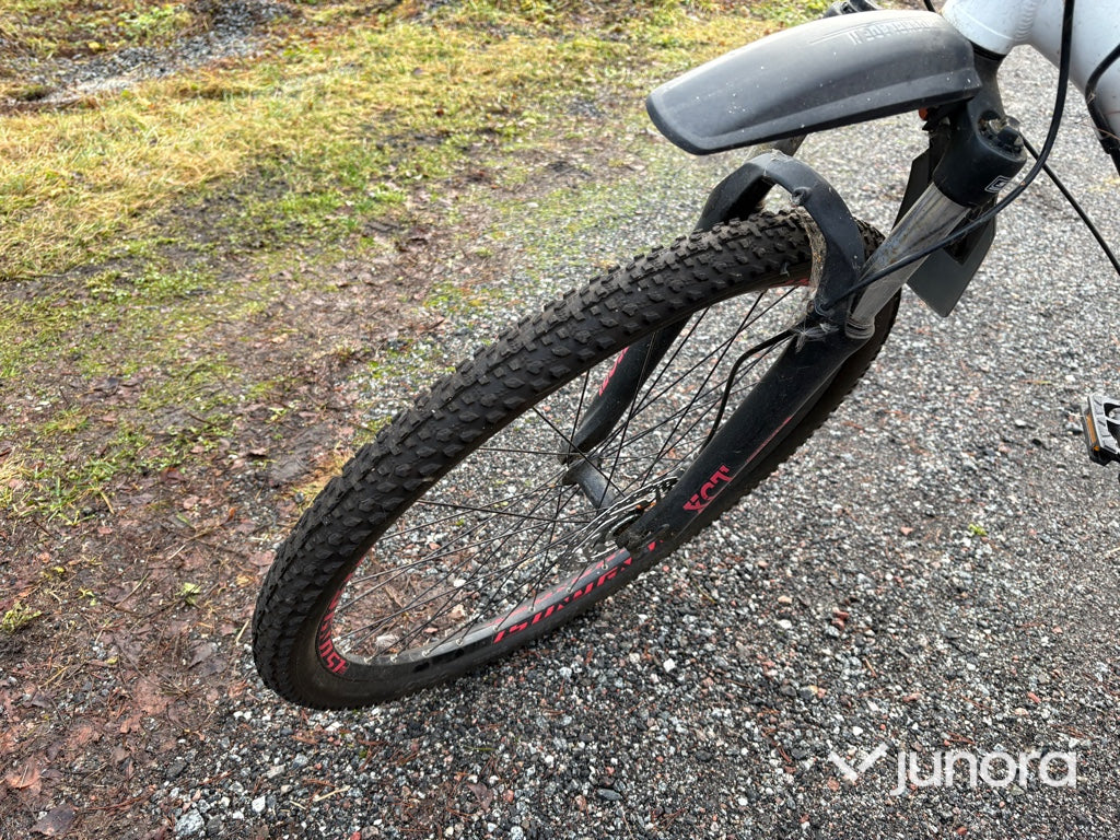 Cykel - Lanao, Ghost, 29