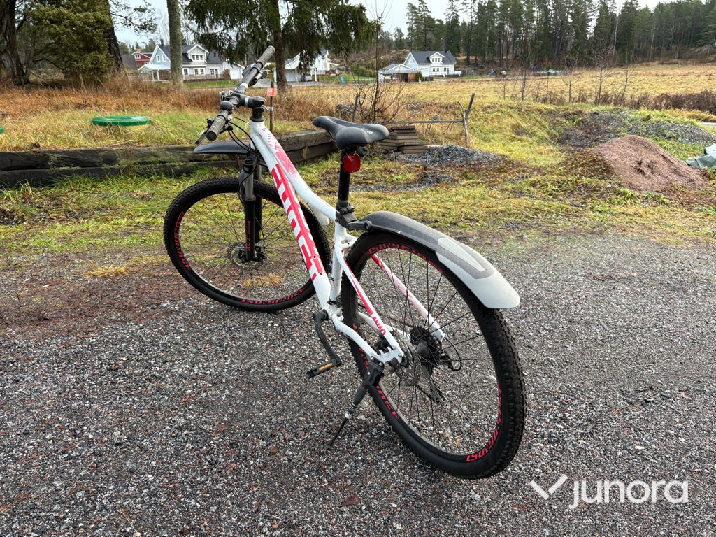 Cykel - Lanao, Ghost, 29