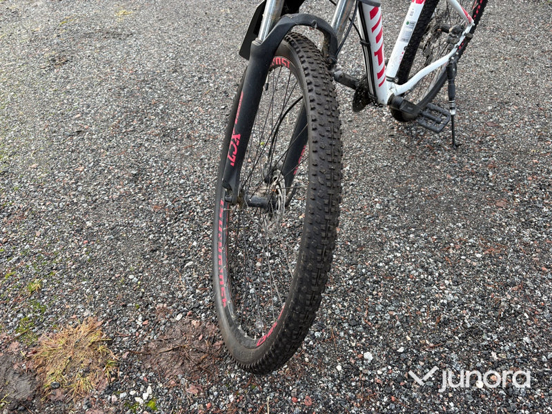 Cykel - Lanao, Ghost, 29