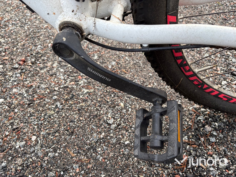 Cykel - Lanao, Ghost, 29