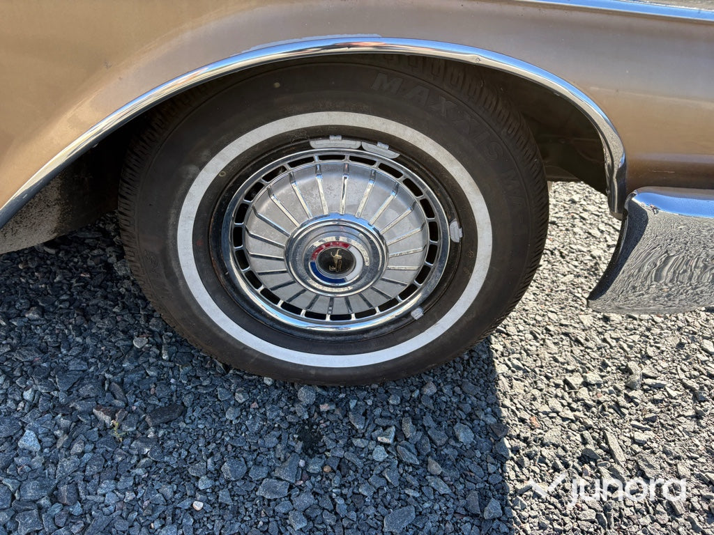 Ford Galaxie