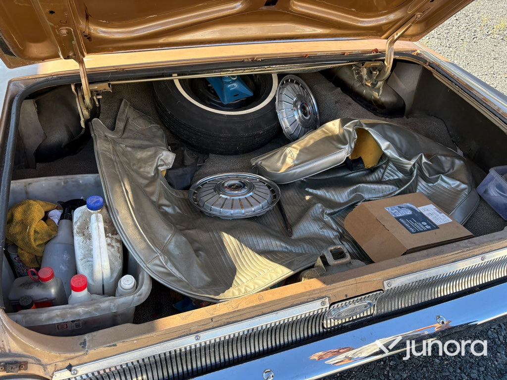 Ford Galaxie
