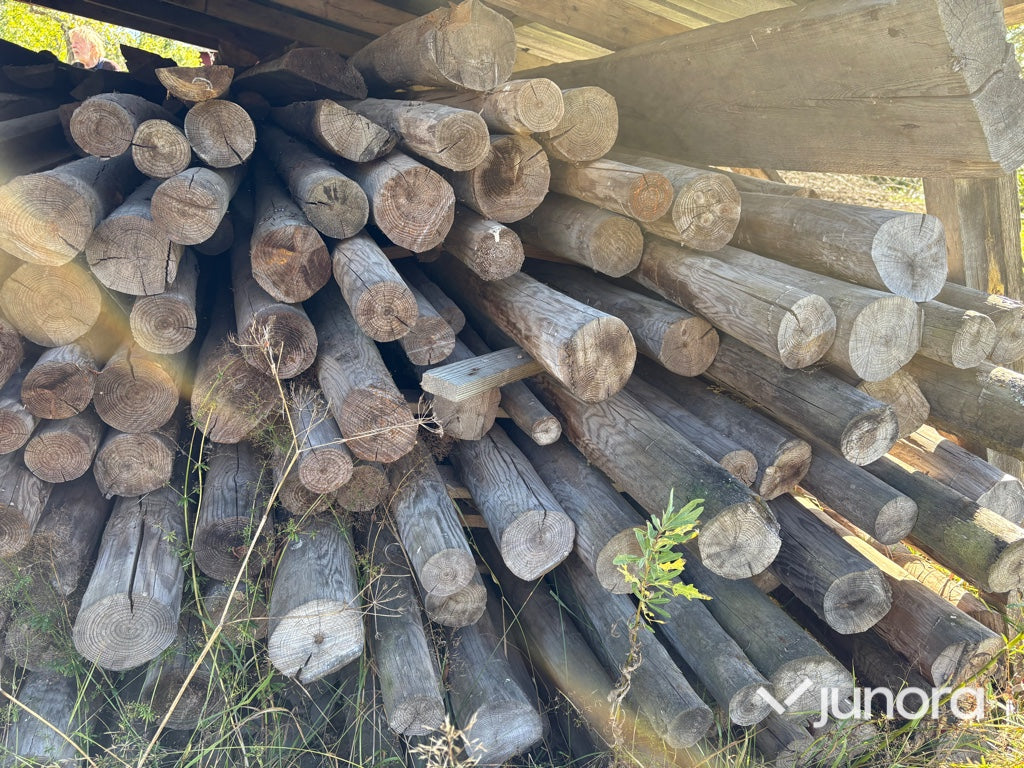 Rundvirke - Tryckimpregnerat, Tall