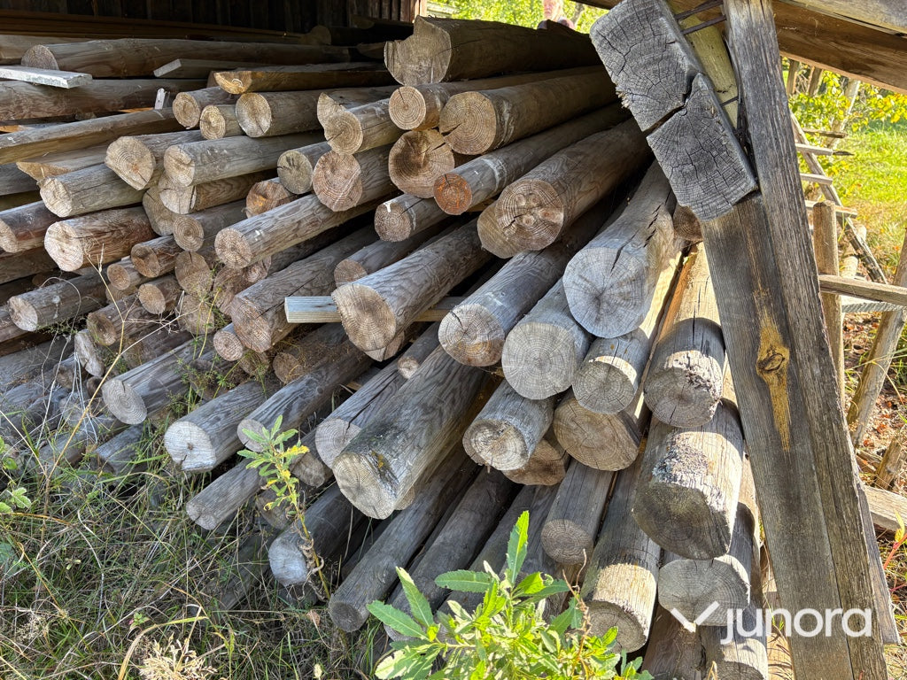 Rundvirke - Tryckimpregnerat, Tall