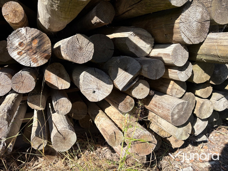 Rundvirke - Tryckimpregnerat, Tall