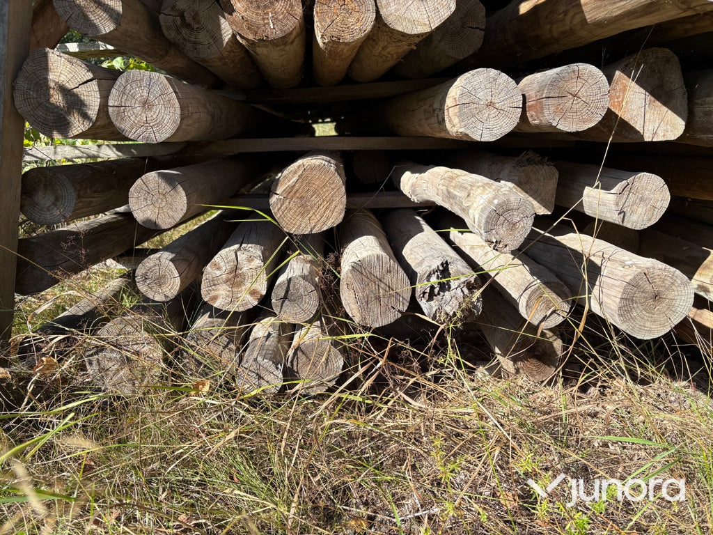 Rundvirke - Tryckimpregnerat, Tall