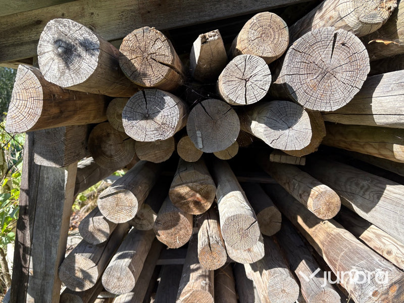 Rundvirke - Tryckimpregnerat, Tall