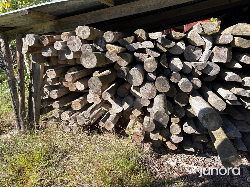 Rundvirke - Tryckimpregnerat, Tall
