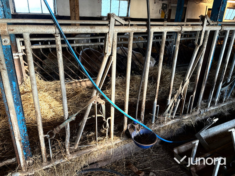 Kobåsar och vattenkoppor