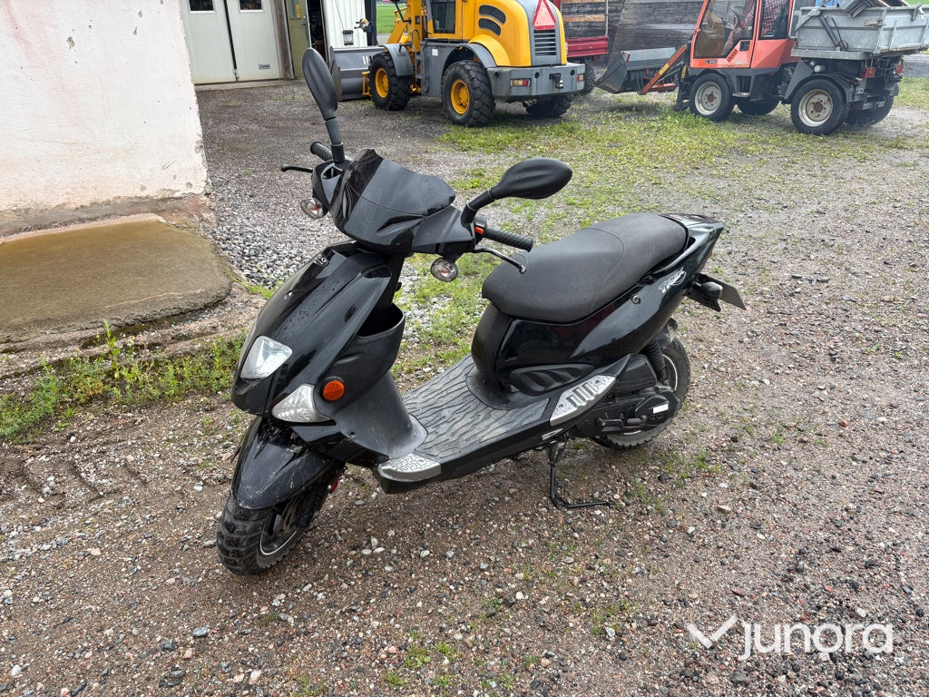 Moped - PGO, T-Rex 50