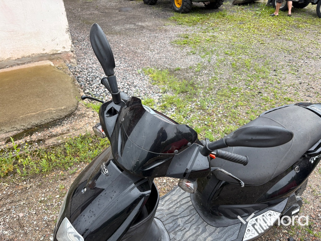 Moped - PGO, T-Rex 50