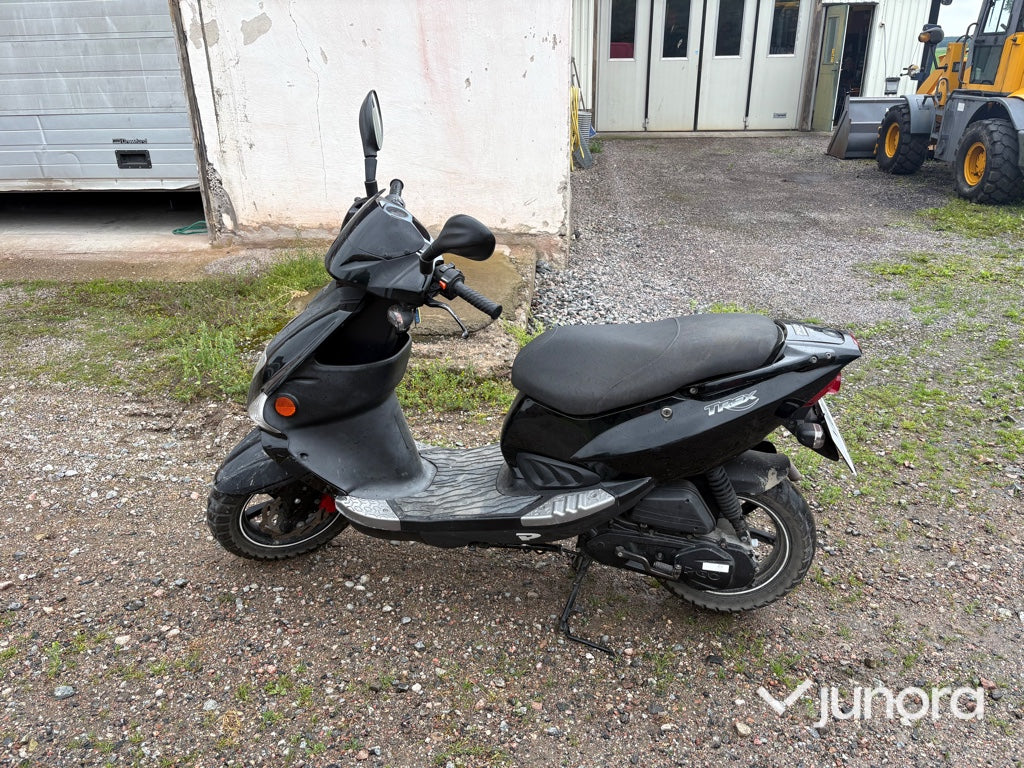 Moped - PGO, T-Rex 50