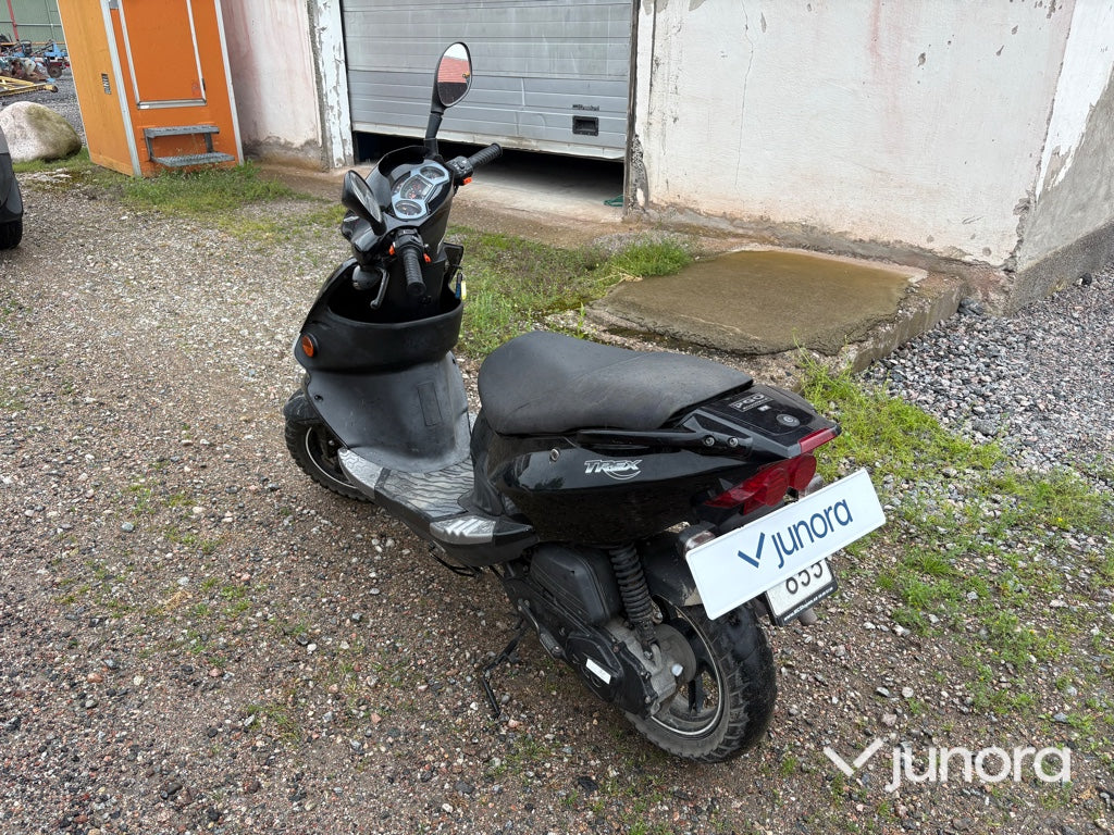 Moped - PGO, T-Rex 50