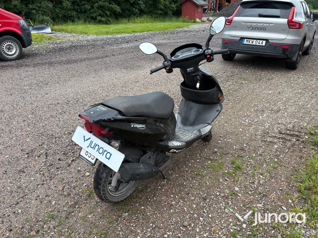 Moped - PGO, T-Rex 50