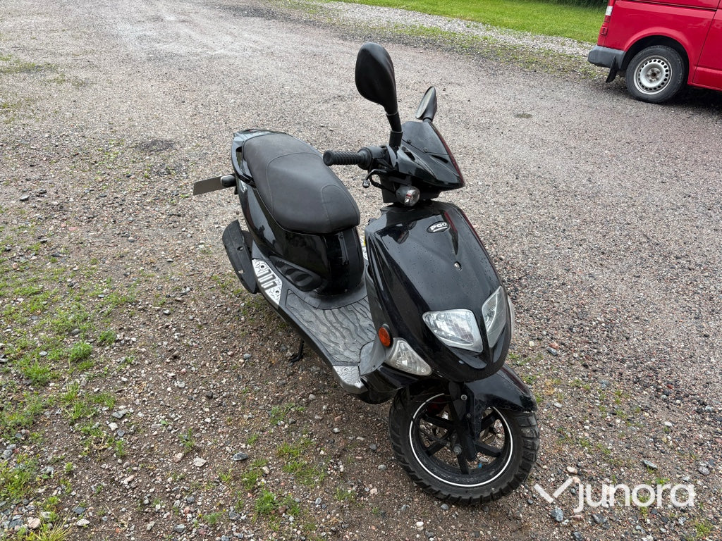 Moped - PGO, T-Rex 50