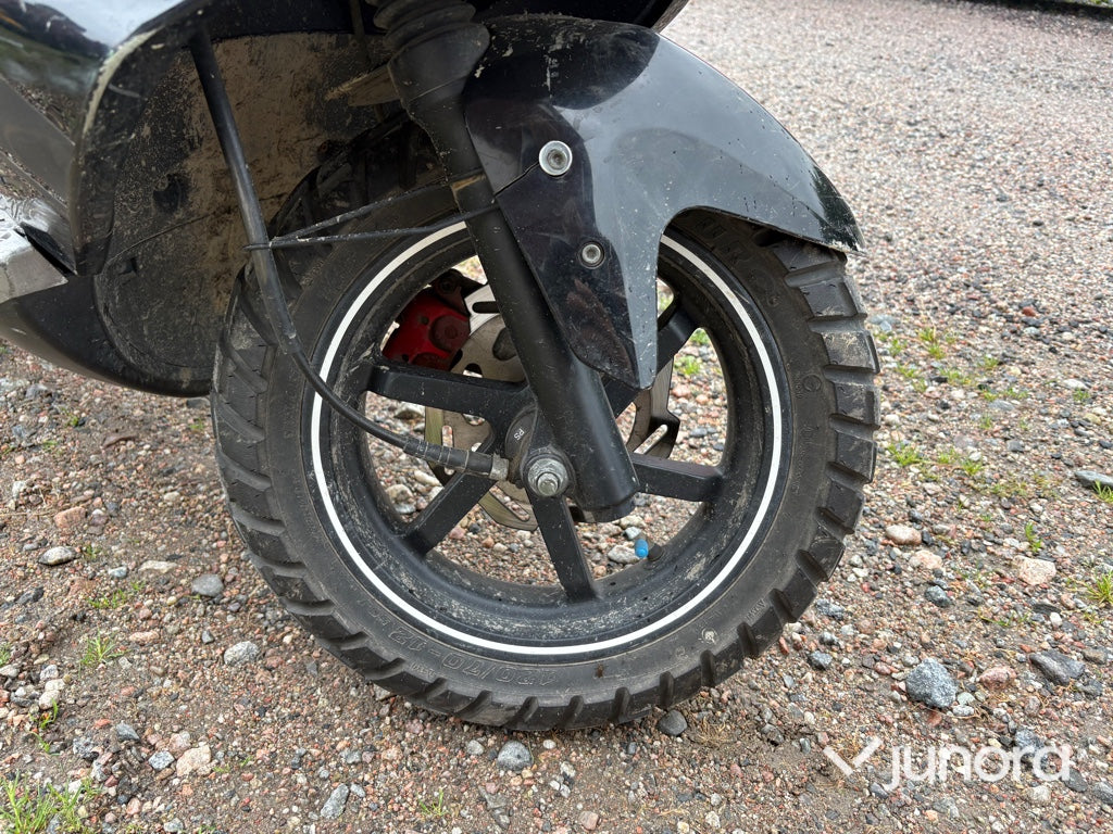 Moped - PGO, T-Rex 50