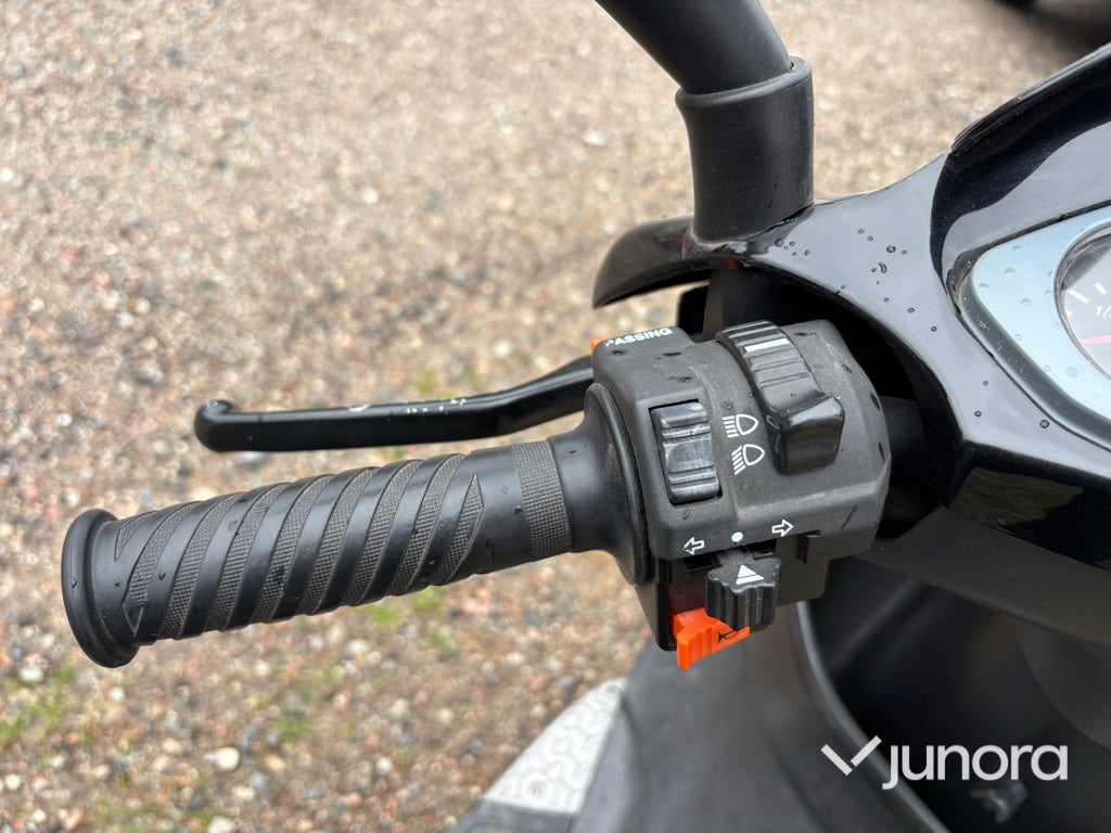 Moped - PGO, T-Rex 50