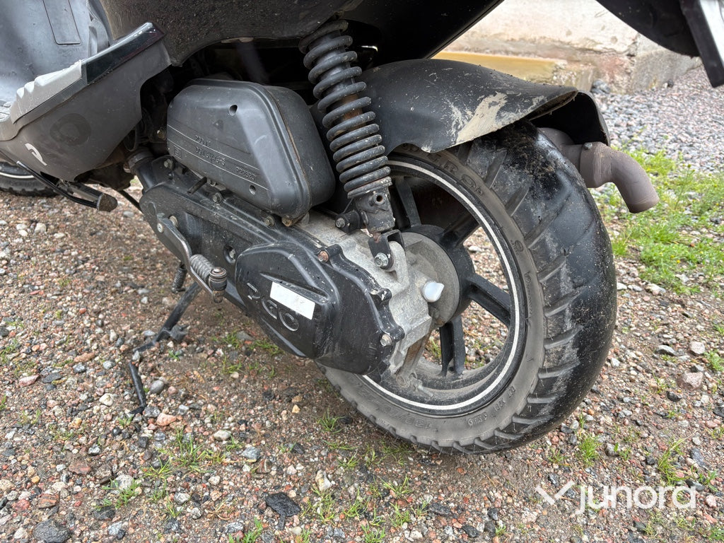 Moped - PGO, T-Rex 50