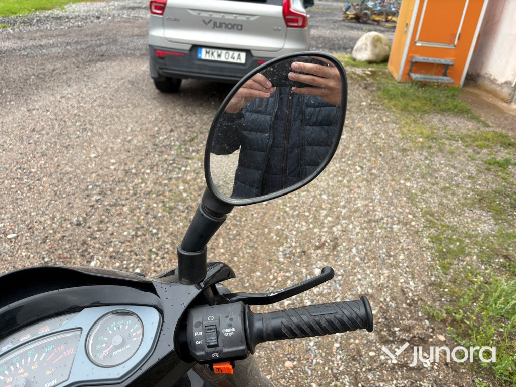 Moped - PGO, T-Rex 50