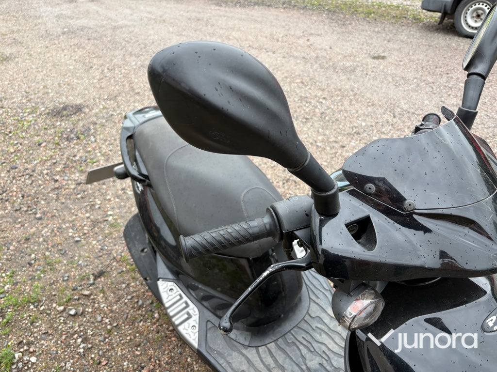 Moped - PGO, T-Rex 50