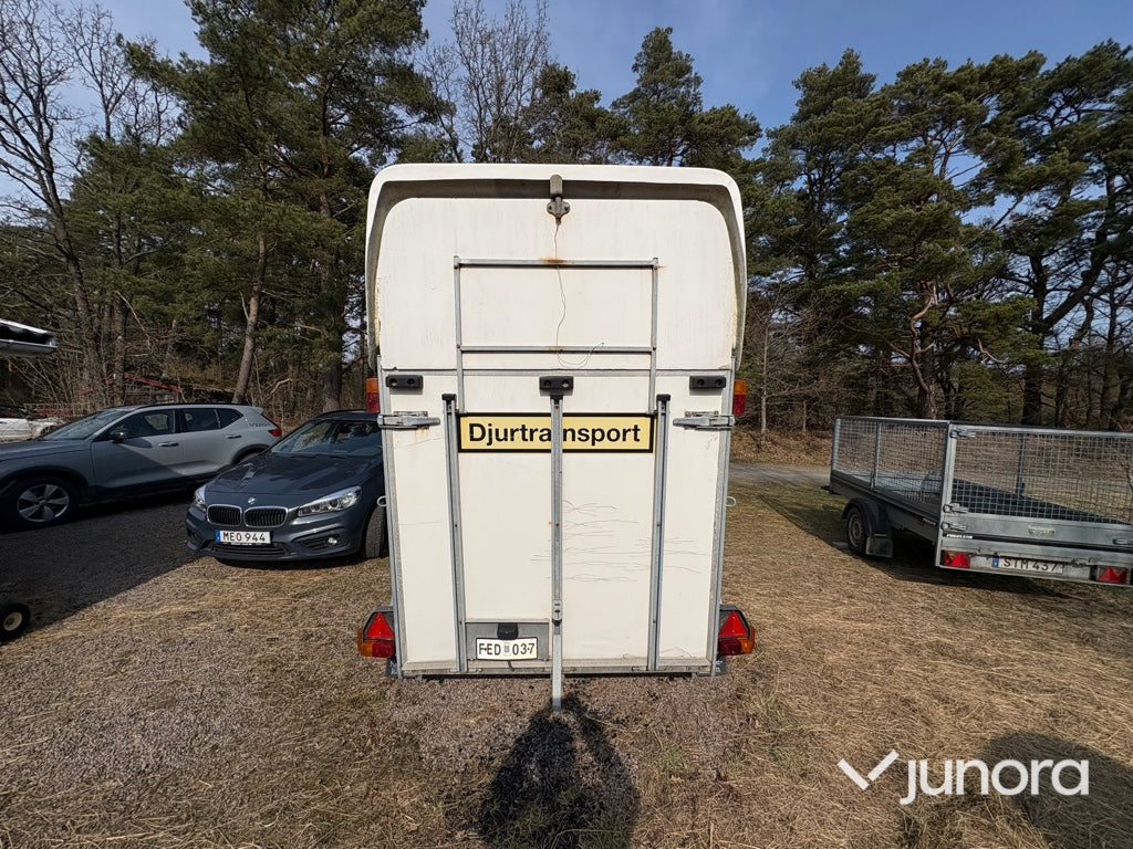 Hästtransport - Kylinge Apollo145