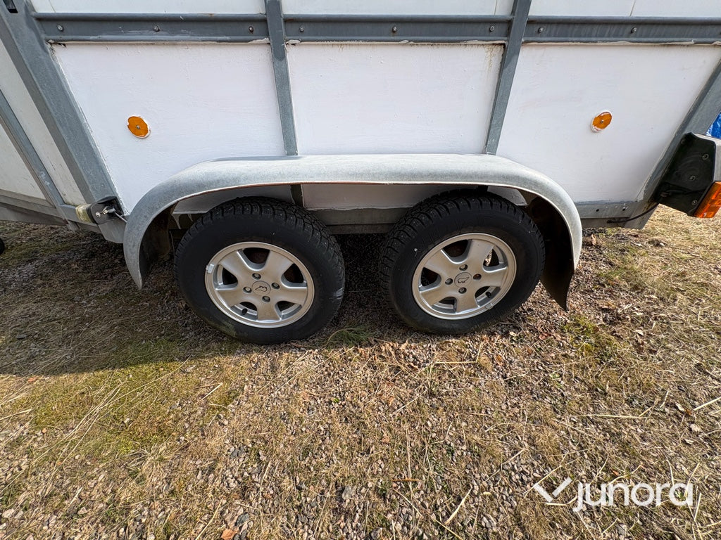 Hästtransport - Kylinge Apollo145