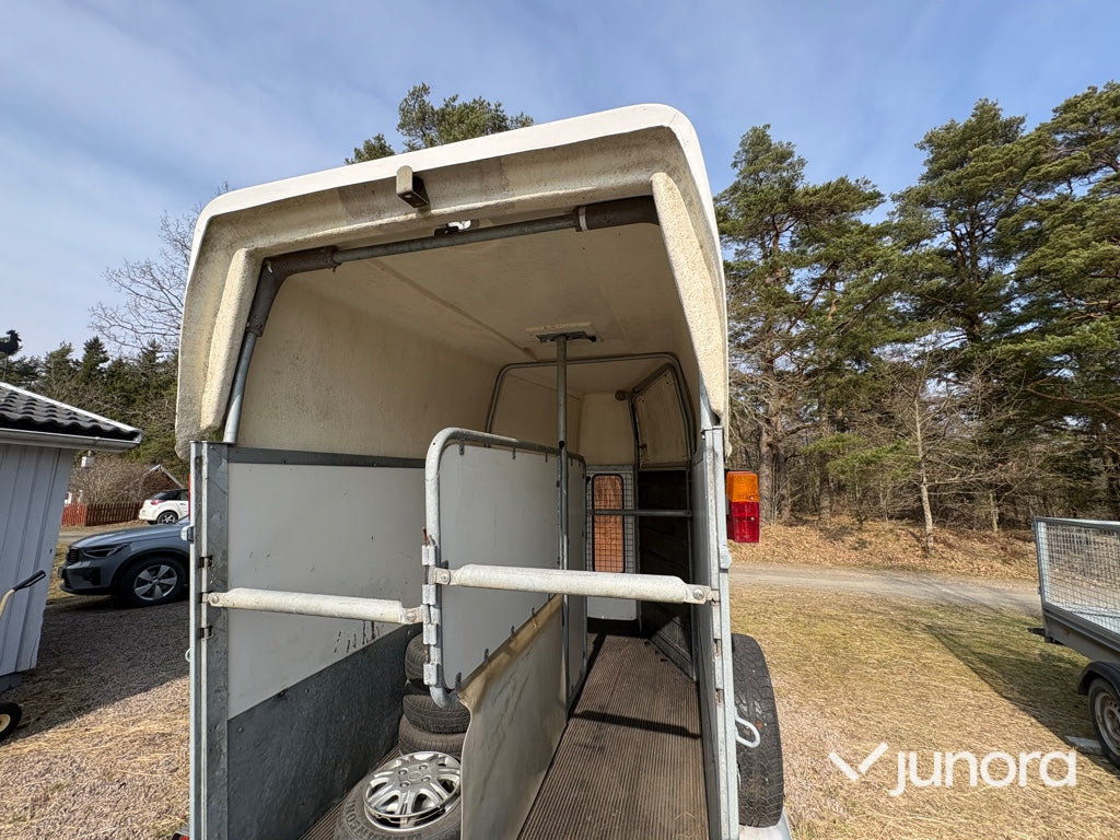Hästtransport - Kylinge Apollo145