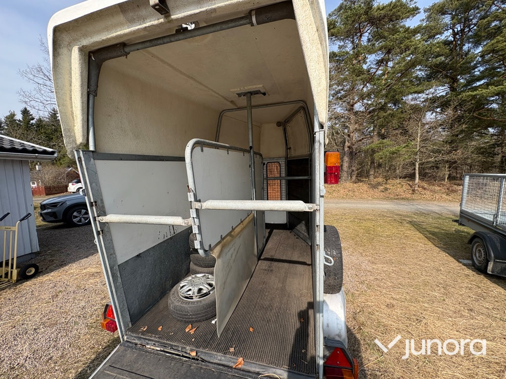 Hästtransport - Kylinge Apollo145