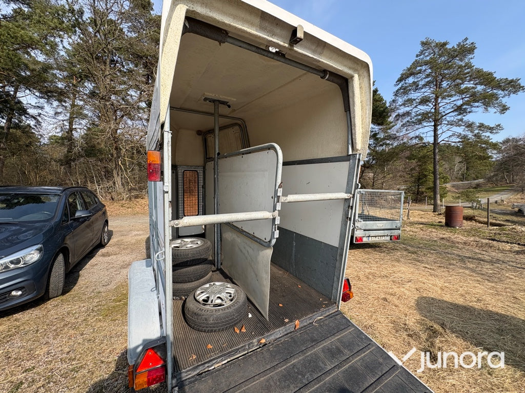 Hästtransport - Kylinge Apollo145