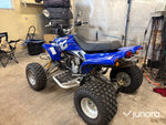 GasGas Wild HP 450