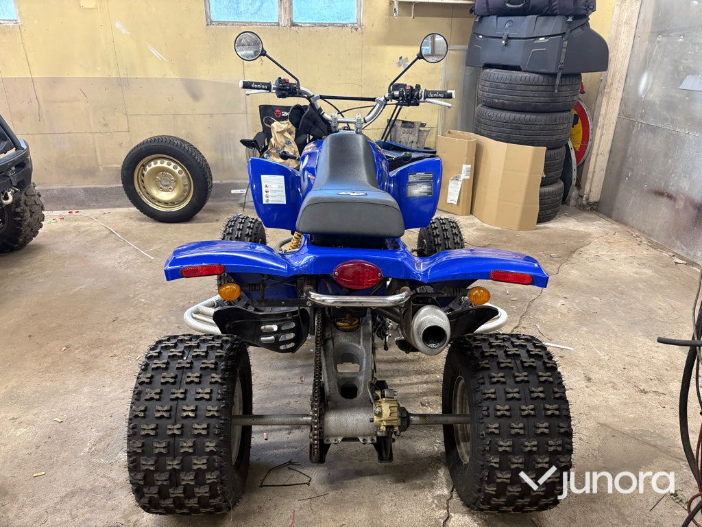 GasGas Wild HP 450