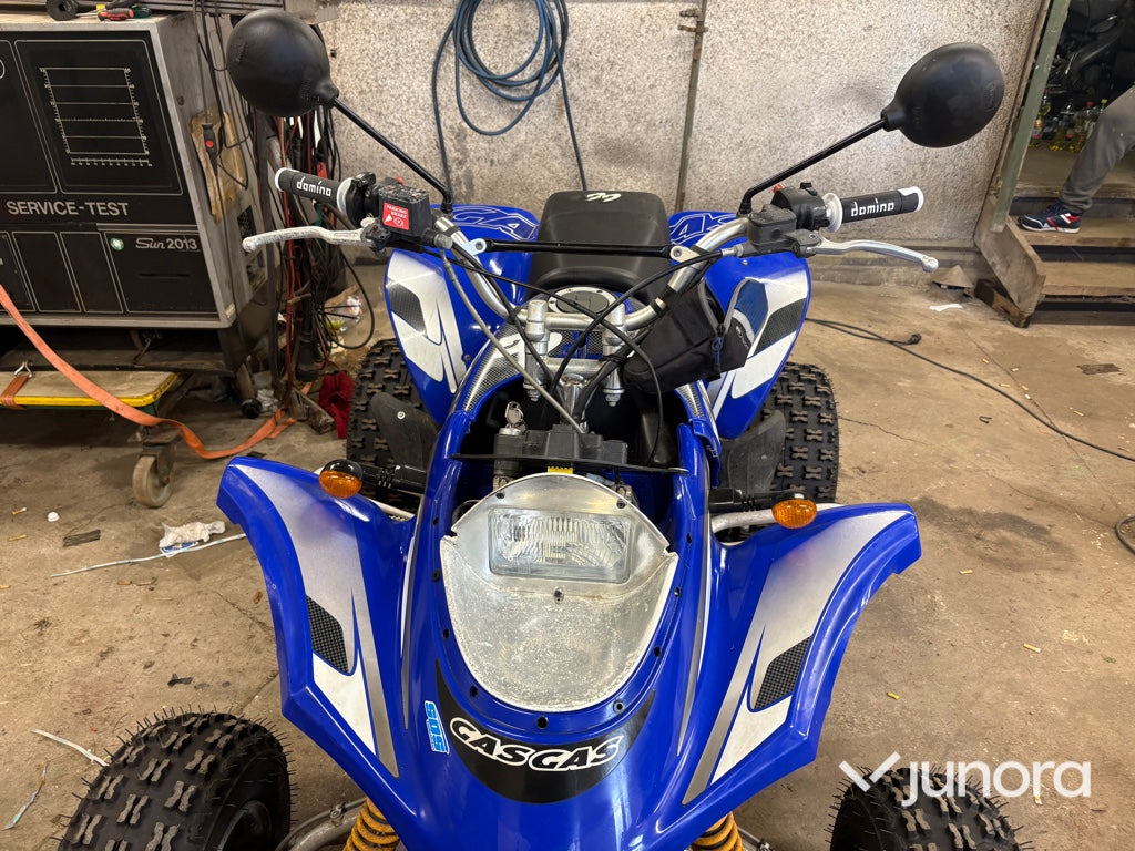 GasGas Wild HP 450