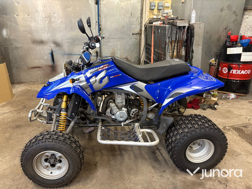 GasGas Wild HP 450