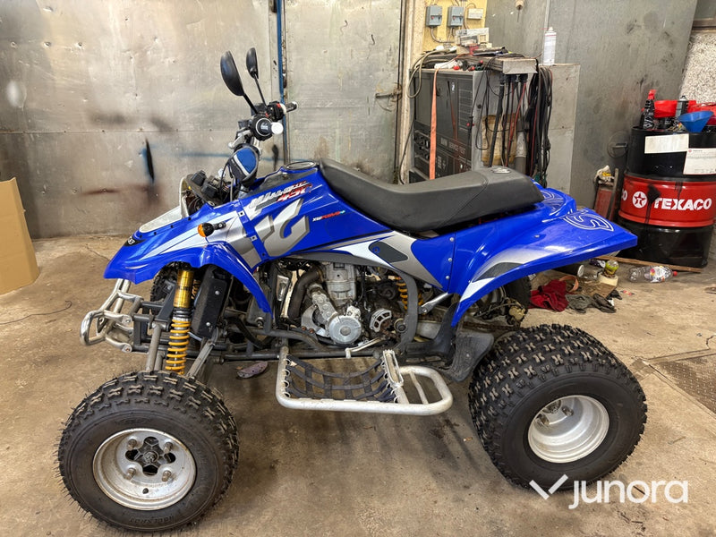 GasGas Wild HP 450