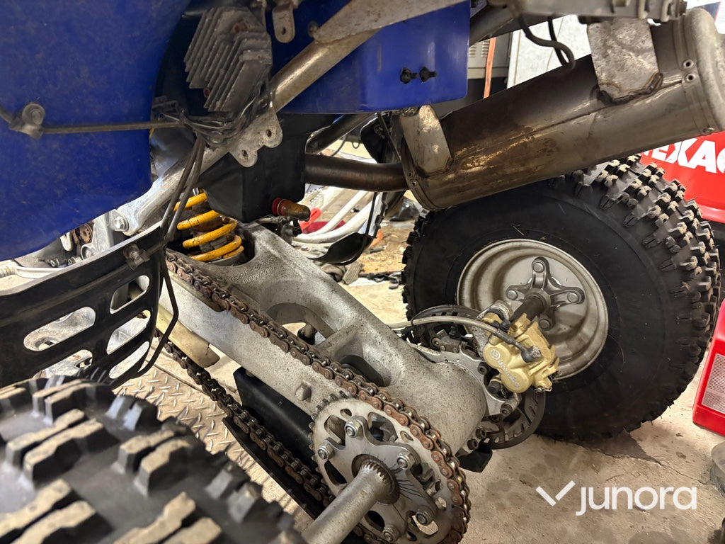 GasGas Wild HP 450