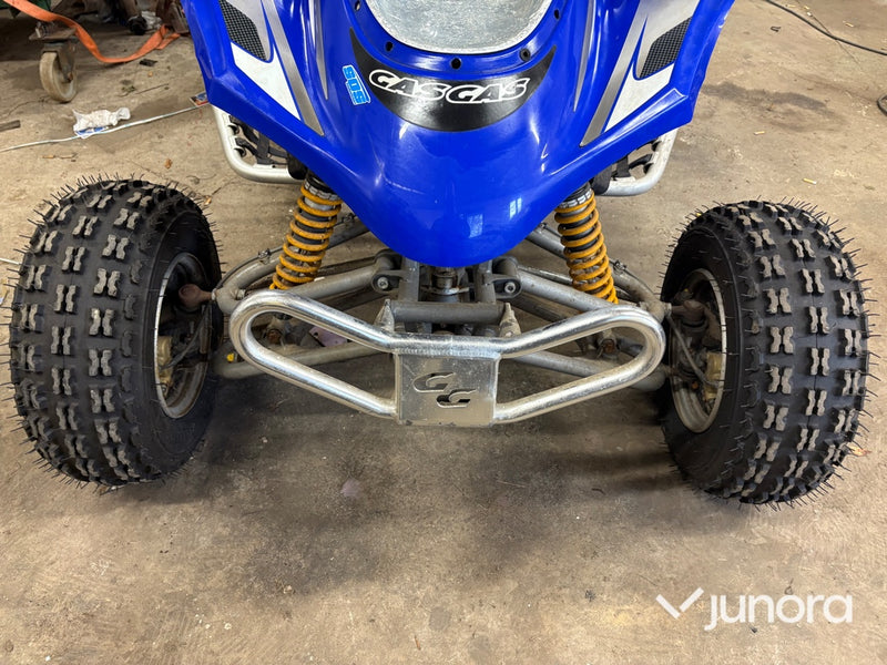 GasGas Wild HP 450