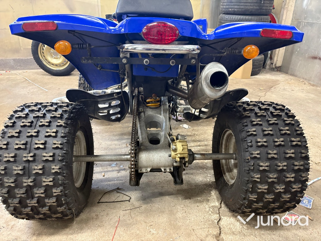 GasGas Wild HP 450
