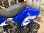 GasGas Wild HP 450