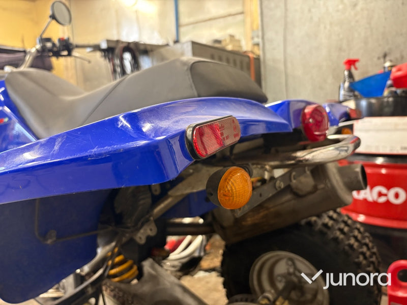 GasGas Wild HP 450